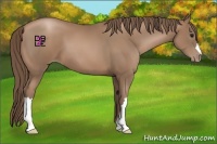 Horse Color:Black Pearl 