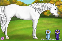 Horse Color:Gray Black Appaloosa