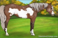 Horse Color:Silver Brown Frame 