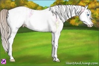 Horse Color:White Spotted Silver Bay Ice Splash