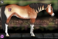 Horse Color:Bay Onyx  and Bay Onyx 