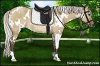 Horse Color:White Spotted Silver Brown Dun Rabicano