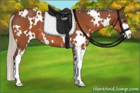 Horse Color:White Spotted Silver Bay Sabino