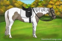 Horse Color:Silver Smoky Black Tobiano