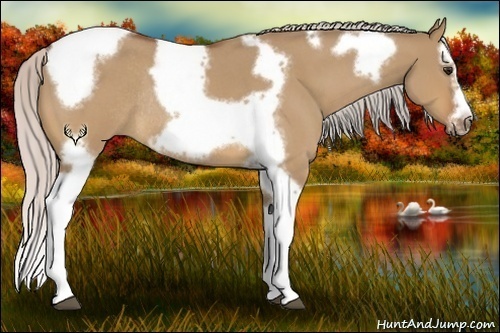 Horse Color:Silver Bay Roan Dun Splash Tobiano Frame Rabicano 