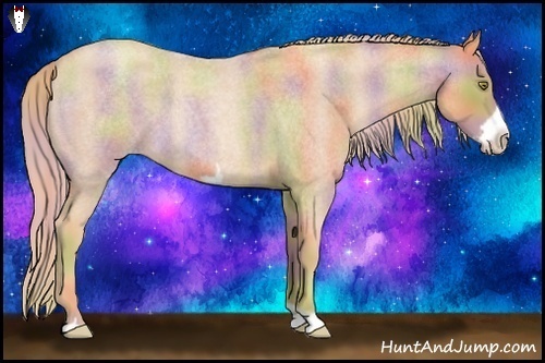 Horse Color:Nacre Gold Champagne Roan Frame