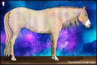 Horse Color:Nacre Gold Champagne Roan Frame 