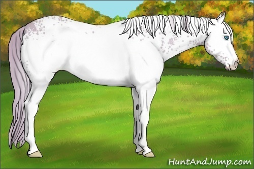 Horse Color:Watercolor White Spotted Smoky Creme 