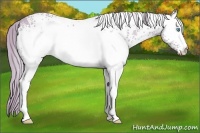 Horse Color:Watercolor White Spotted Smoky Creme