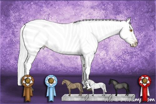 Horse Color:Gray Silver Grullo Pearl Sabino Splash