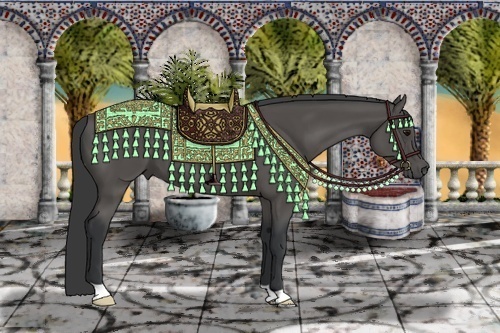 Horse Color:Black 