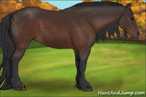 Horse Color:Brown 
