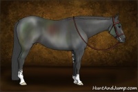 Horse Color:Smoky Black Sabino