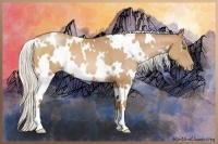Horse Color:White Spotted Silver Bay Pearl