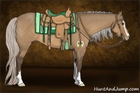 Horse Color:Silver Bay Dun Sabino