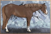 Horse Color:Liver Chestnut Sabino