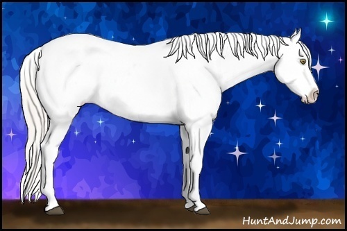 Horse Color:Silver Brown Pearl Dun Near Leopard 