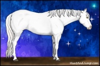 Horse Color:Silver Brown Pearl Dun Appaloosa