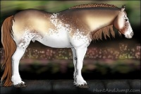 Horse Color:White Spotted Liver Red Onyx 