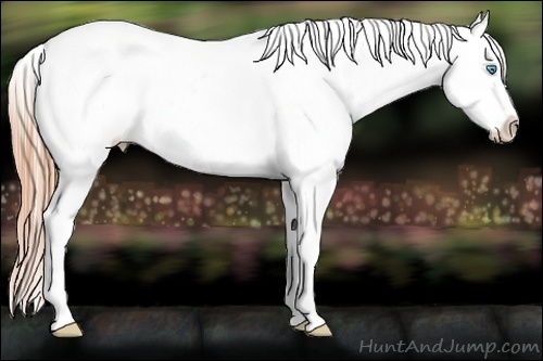 Horse Color:Buckskin Pearl Varnish 