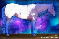 Horse Color:Watercolor Bay Roan Appaloosa