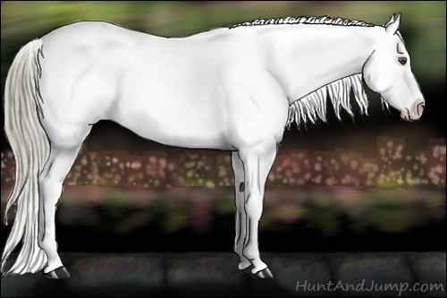 Horse Color:Liver Red Dun Mushroom Blanket 