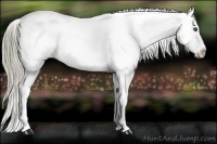 Horse Color:Liver Red Dun Mushroom Blanket 