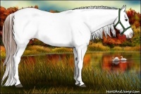 Horse Color:Red Dun Varnish 