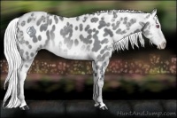 Horse Color:Silver Brown Chinchilla Ice Varnish