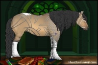 Horse Color:Buckskin Dun Tobiano 