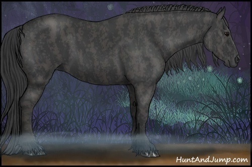 Horse Color:Black  Brindle