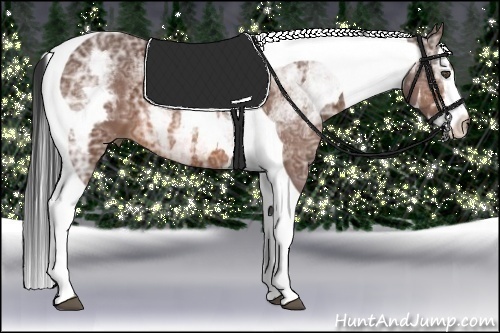 Horse Color:White Spotted Bay Ice Splash Tobiano Frame