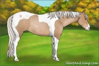 Horse Color:Silver Black Pearl Sabino Tobiano Rabicano 
