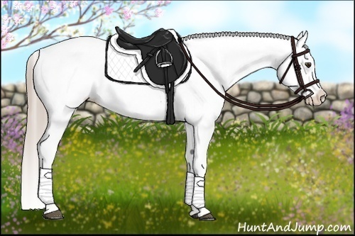 Horse Color:Chocolate Palomino Dun Tobiano Blanket