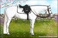 Horse Color:Chocolate Palomino Dun Tobiano Blanket