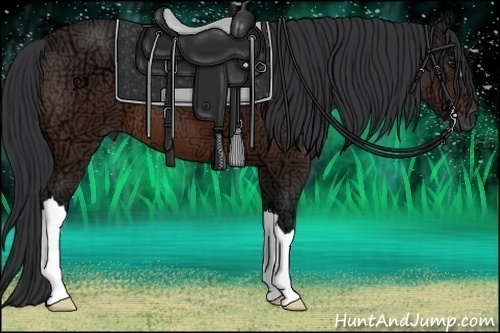 Horse Color:Bay Ice