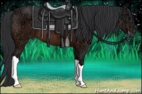 Horse Color:Bay Ice 