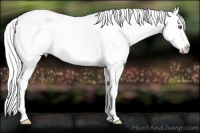 Horse Color:Silver Brown Chinchilla Snowflake Varnish