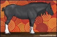 Horse Color:Blue Roan Tobiano