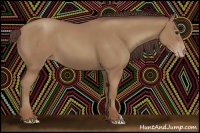 Horse Color:Classic Champagne 