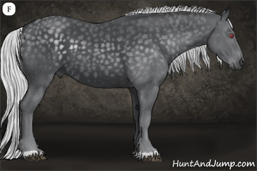 Horse Color:Silver Black Chinchilla 