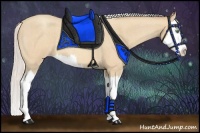 Horse Color:Silver Sable Cream Champagne Roan Splash 