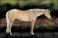 Horse Color:Silver Black Pearl Sabino Rabicano 