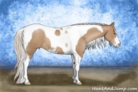 Horse Color:Silver Black Pearl Sabino Tobiano 