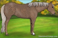 Horse Color:Silver Black 