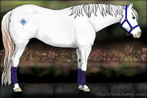 Horse Color:White Spotted Smoky Grullo Sabino Blanket