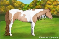 Horse Color:Bay Pearl Tobiano Rabicano 