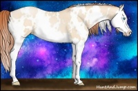 Horse Color:White Spotted Buckskin Pearl Dun Splash 