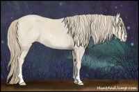 Horse Color:Smoky Creme Sabino