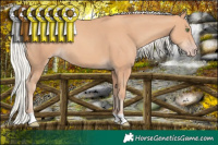 Horse Color:Silver Classic Champagne